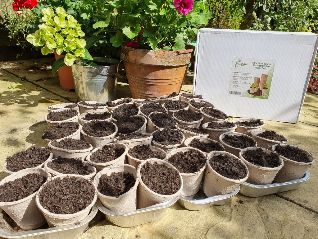 100 x 8cm Round Biodegradable Paper Plant Pots by e-pots in Plastic Free Packaging for Seeds, Seedlings, Cuttings and Plug Plants. Made from Recyclable Paper Pulp to Reduce Garden Plastic Use