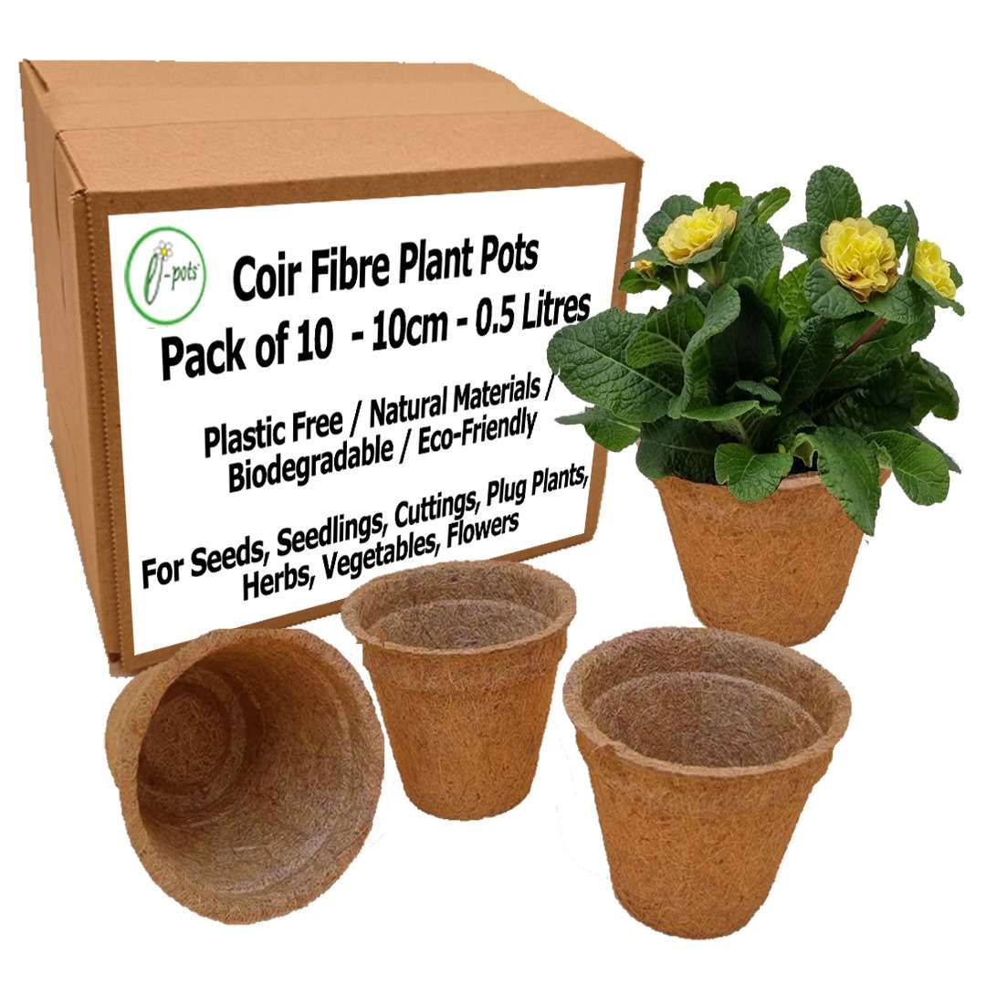10cm-Coir-Pots-with-box main image trial 0625