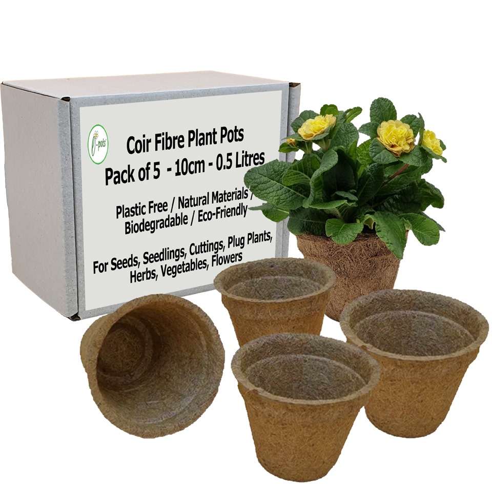 10cm-Coir-Pots-x 5 with-box main image trial 0625