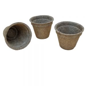 10cm coir pots