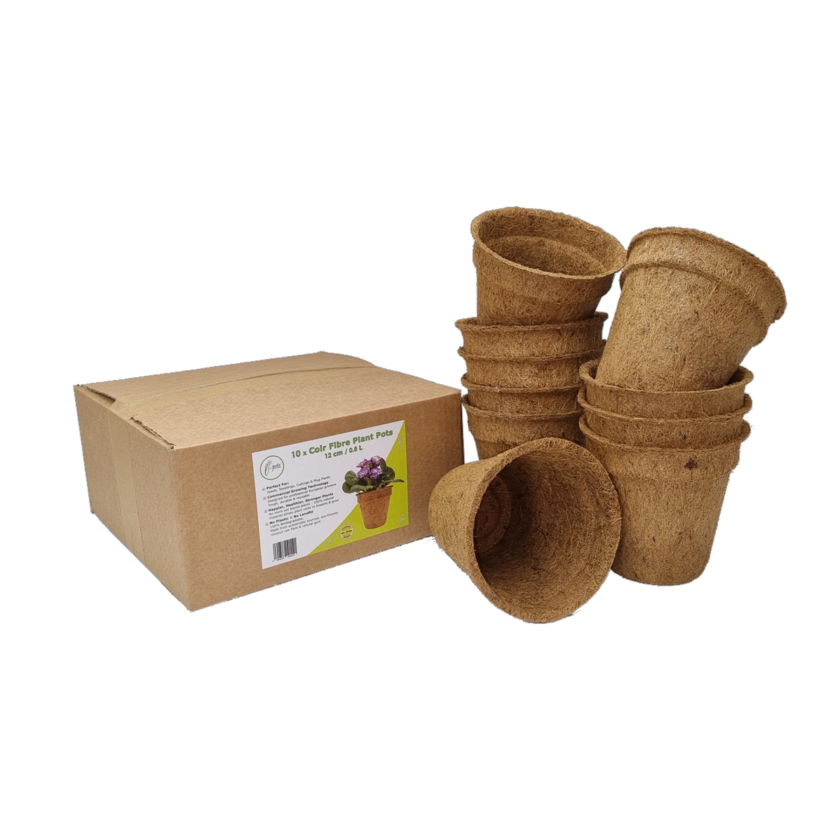 12cm Coir Pots with box