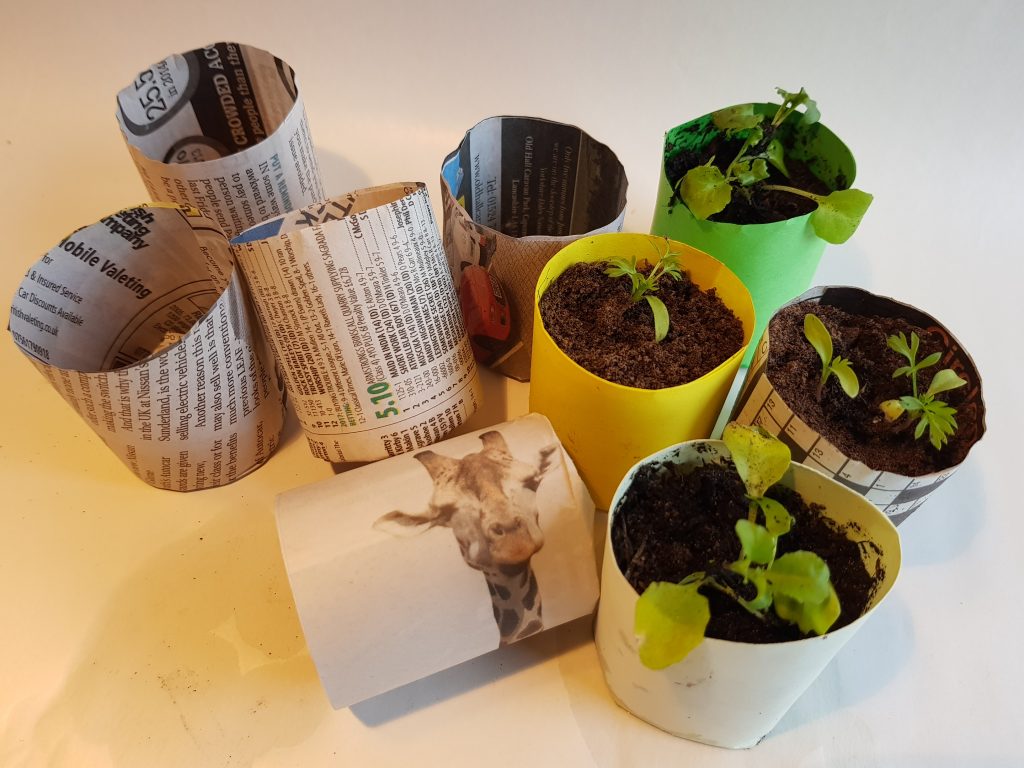 4cm paper pots made using the e-pots paper pot maker