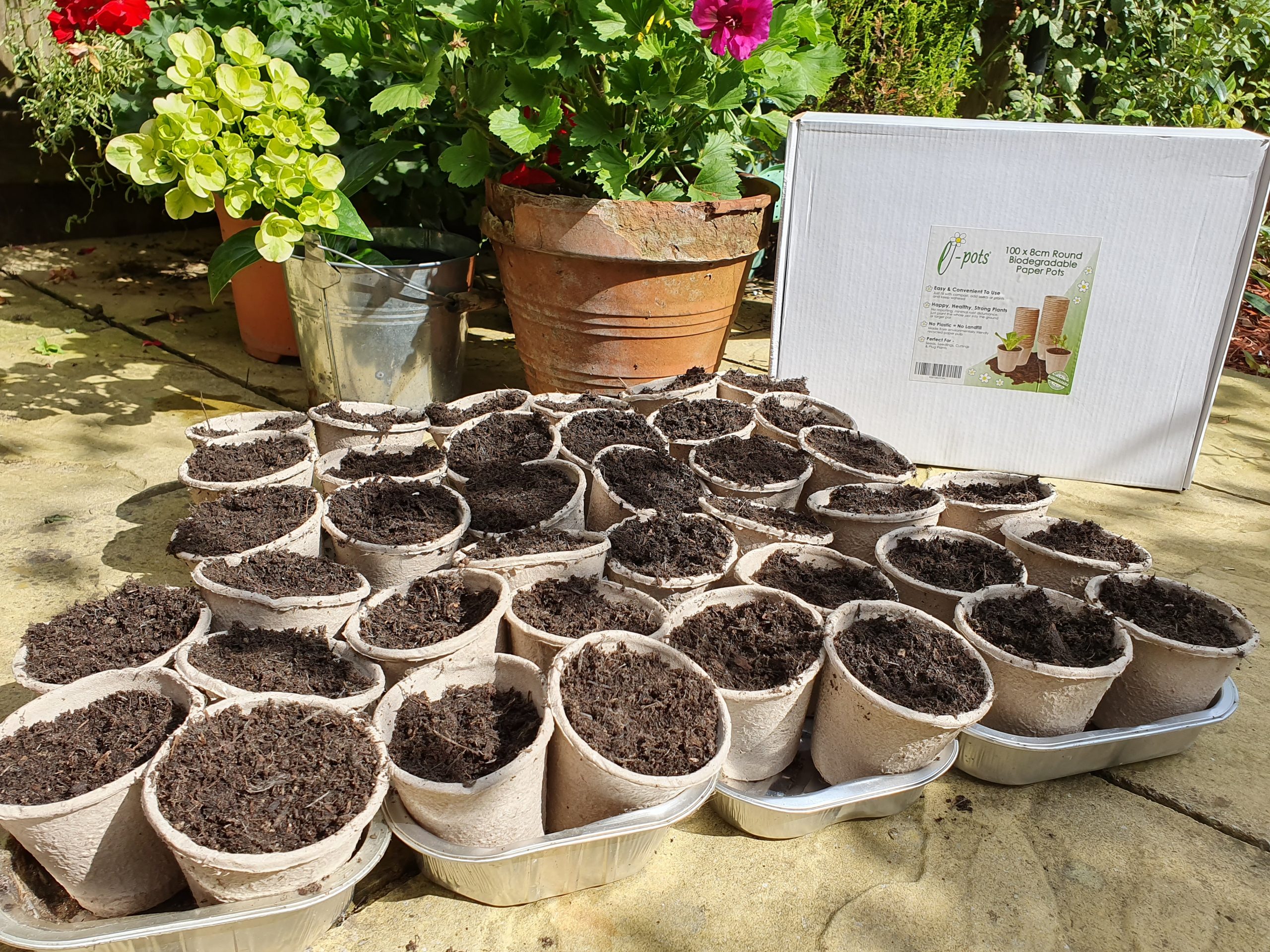Biodegradable Plant Pots 100 x 8cm Seed Pots epots