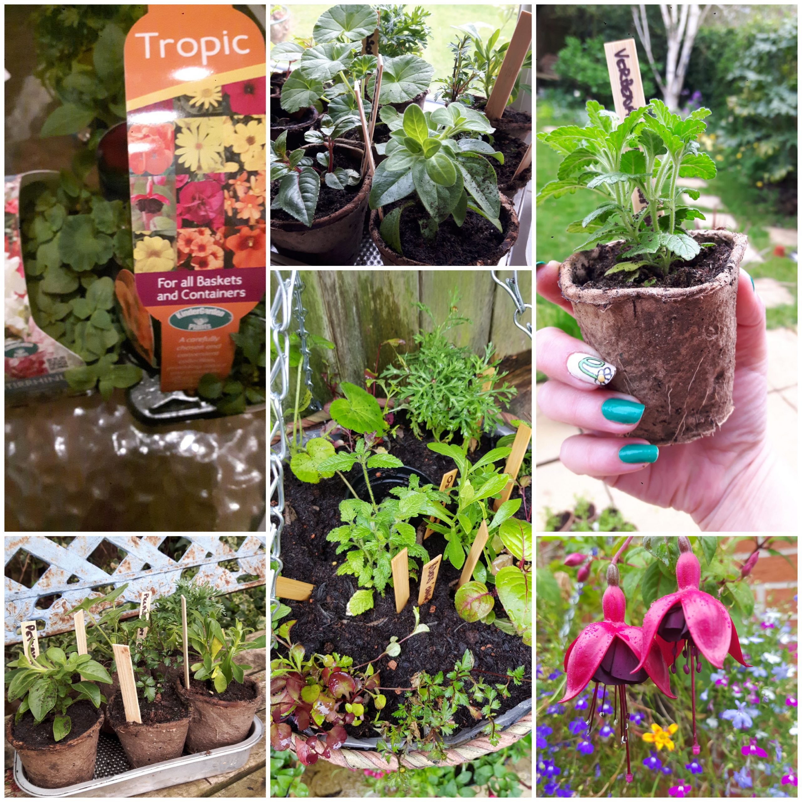 Project Plug Plants ePots