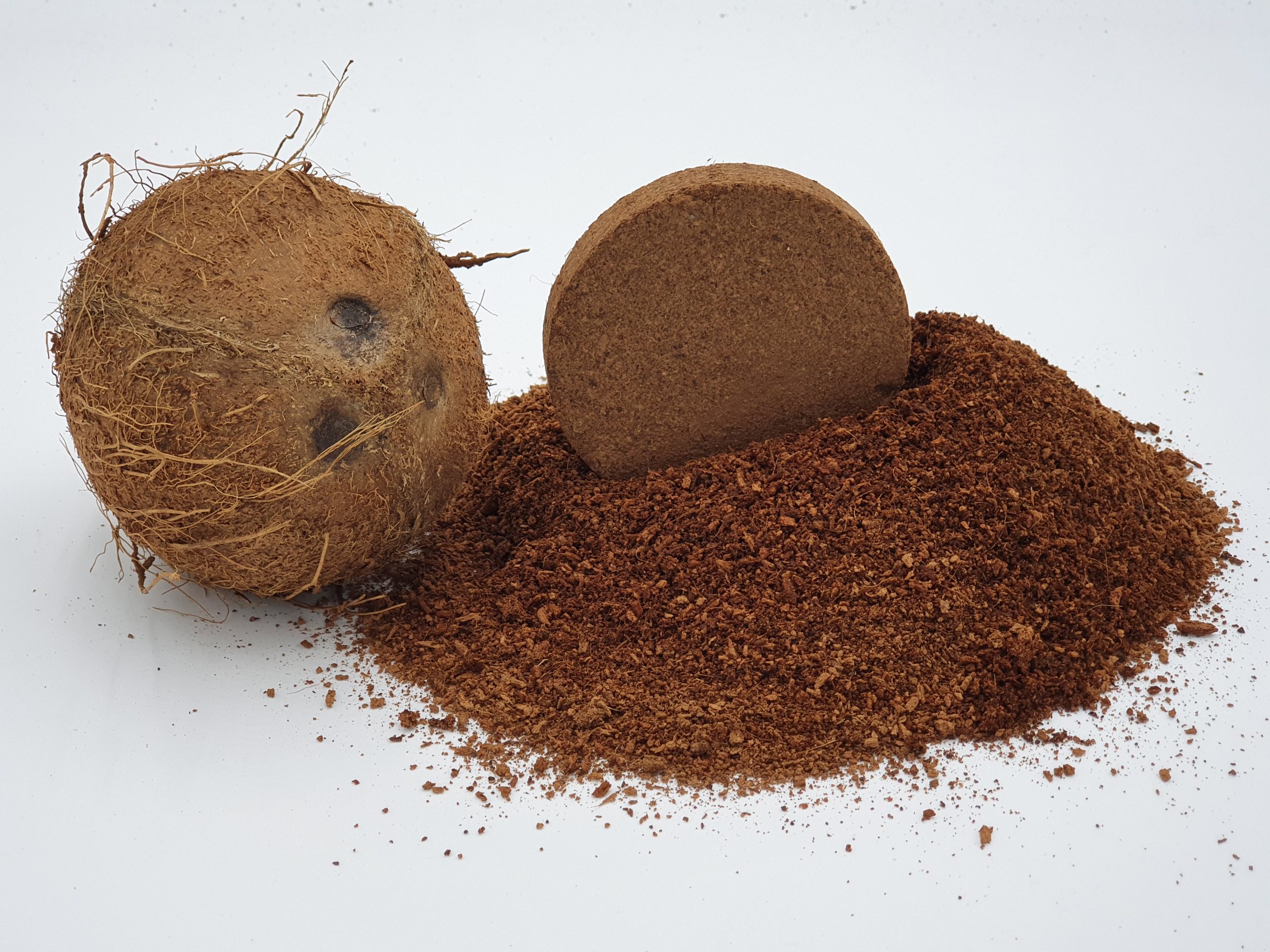 Coconut husk for plants