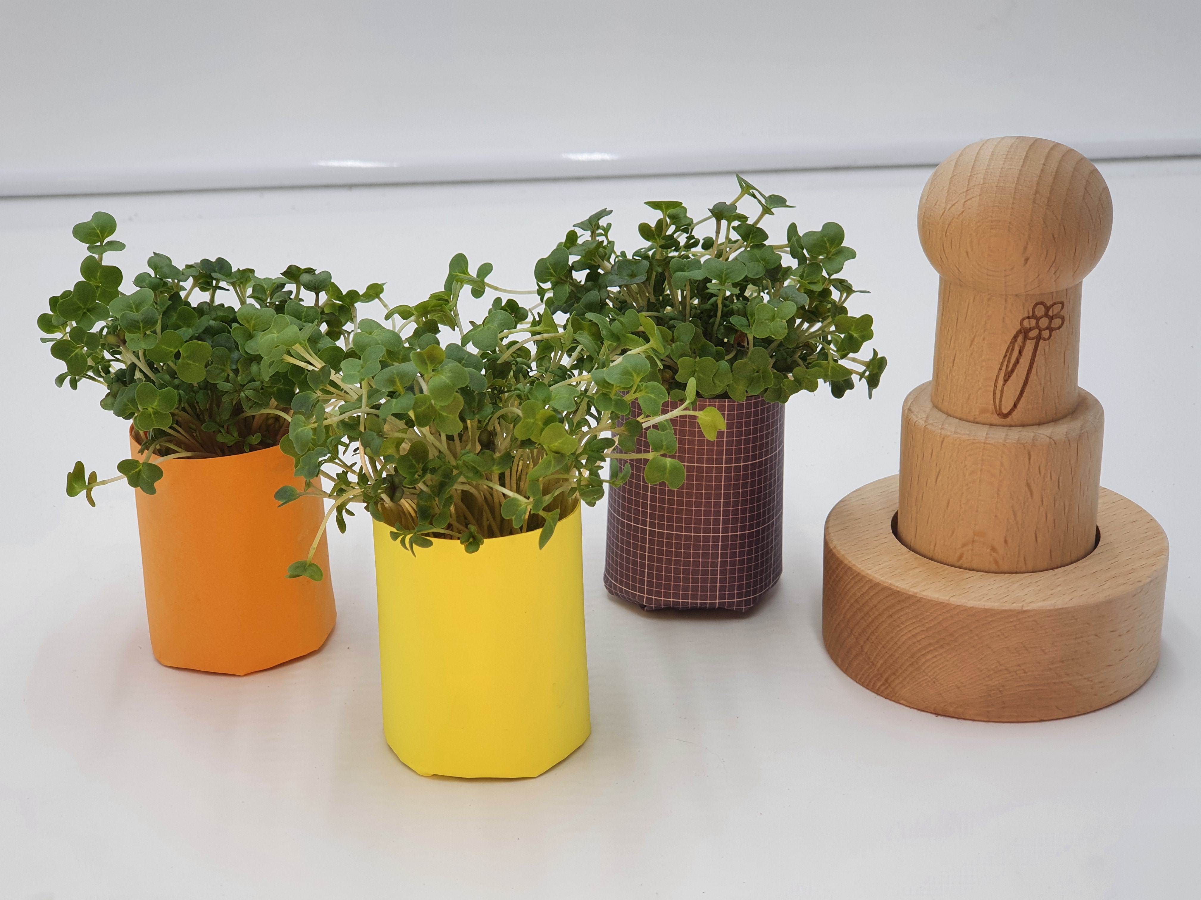 Paper Pot Maker DELUXE Eco Friendly Gift Set Includes