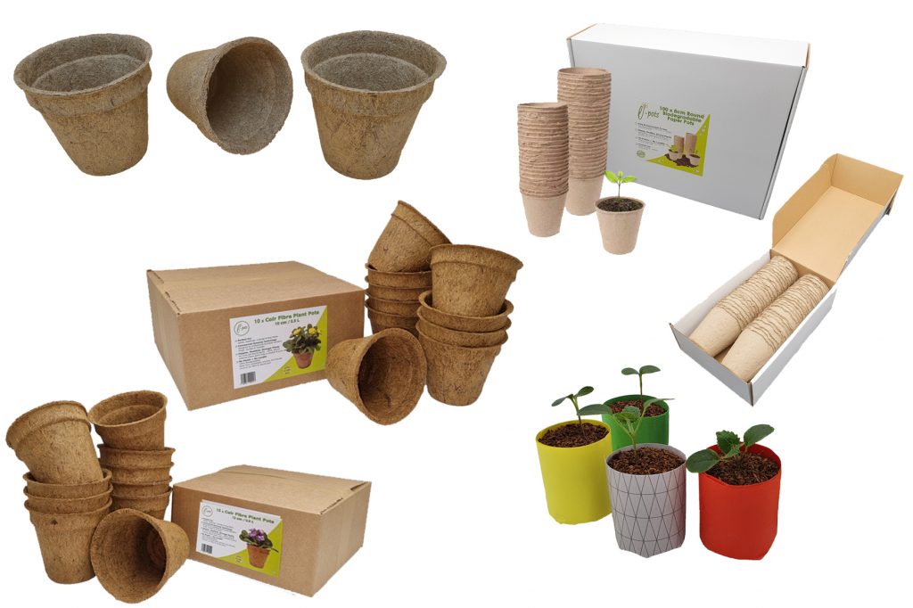 Ecofriendly plant pots Everything you need to know about