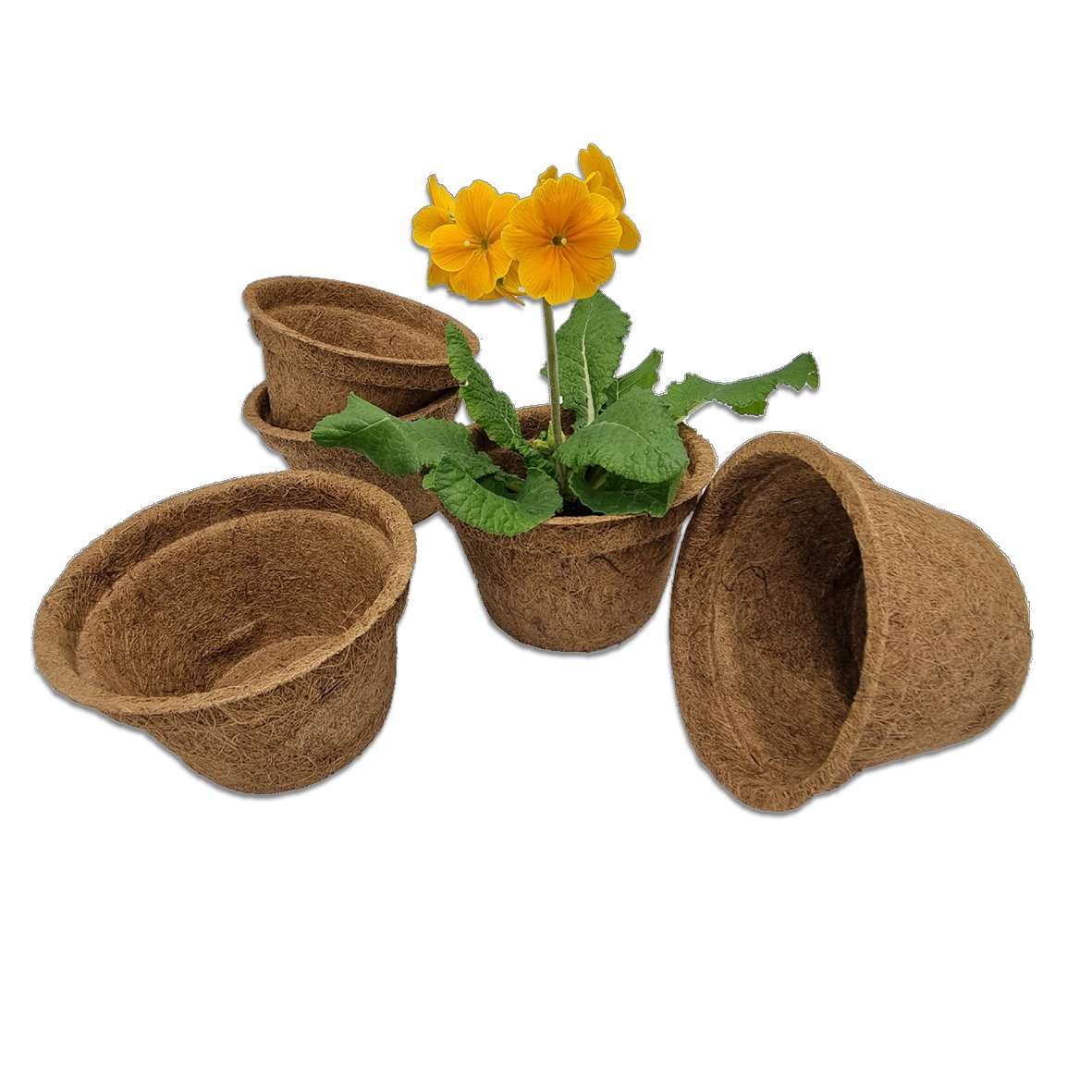 Biodegradable plant pots made from coir 14cm/1L