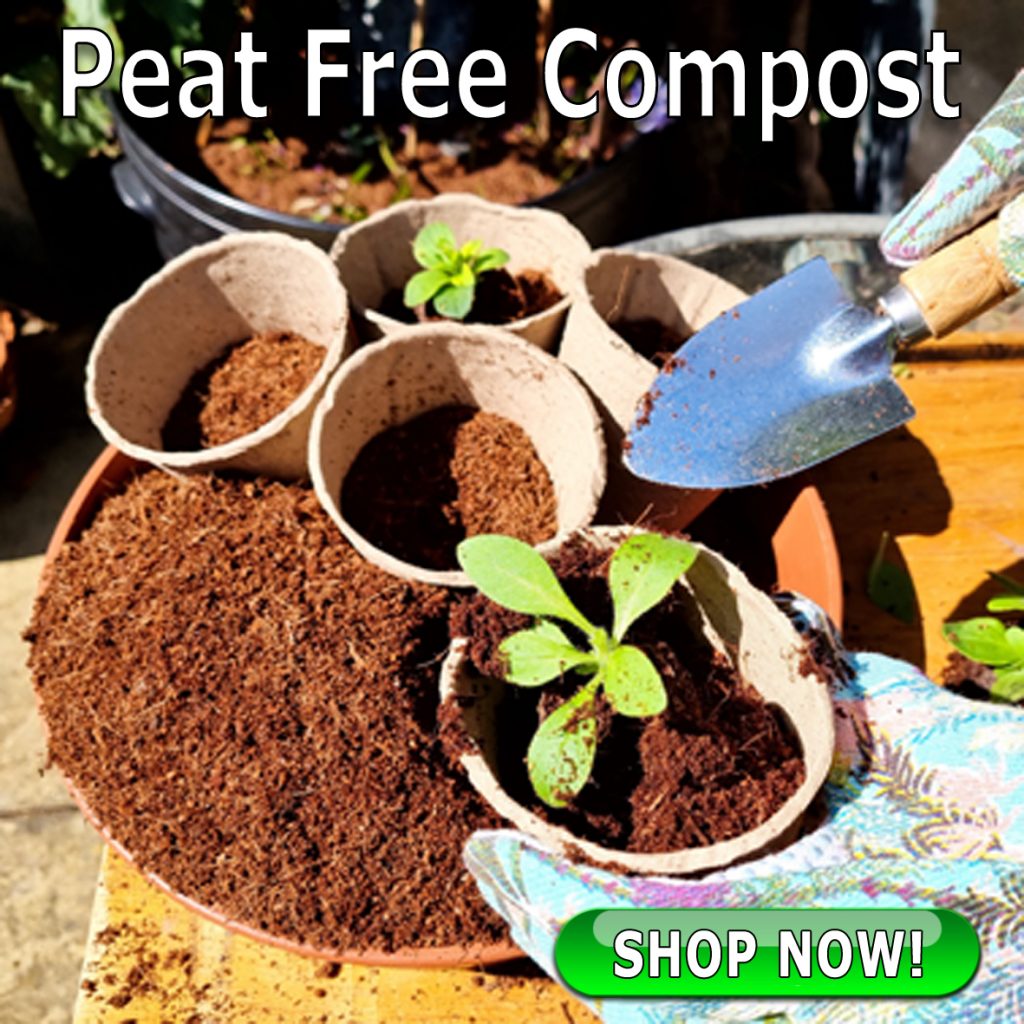 Plastic Free Gardening with epots 100 Natural EcoGardening