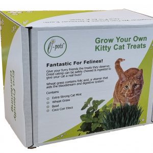 Cat Grass_New Box