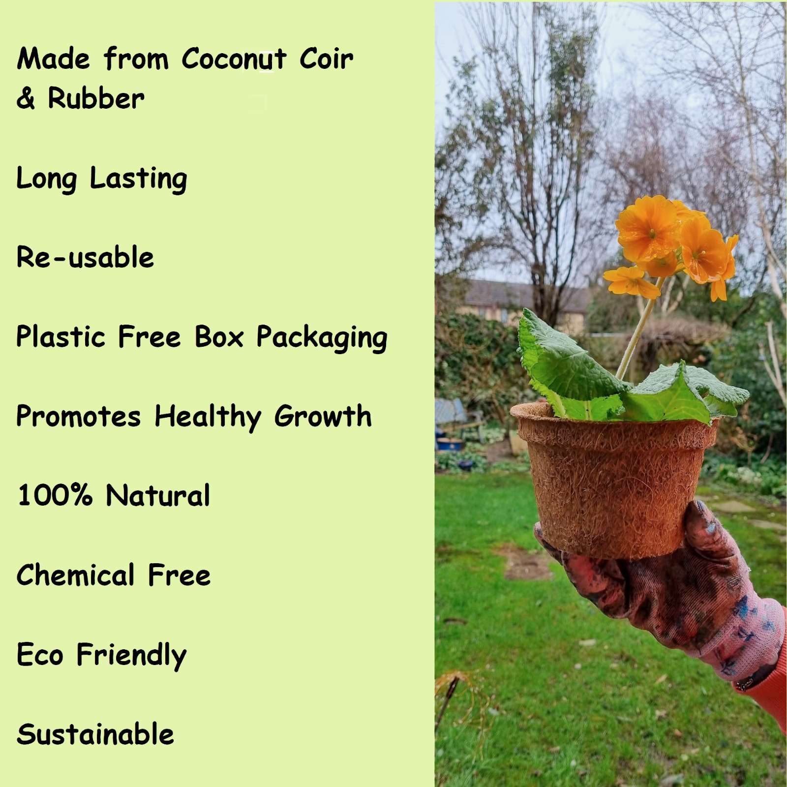 Coir pots information