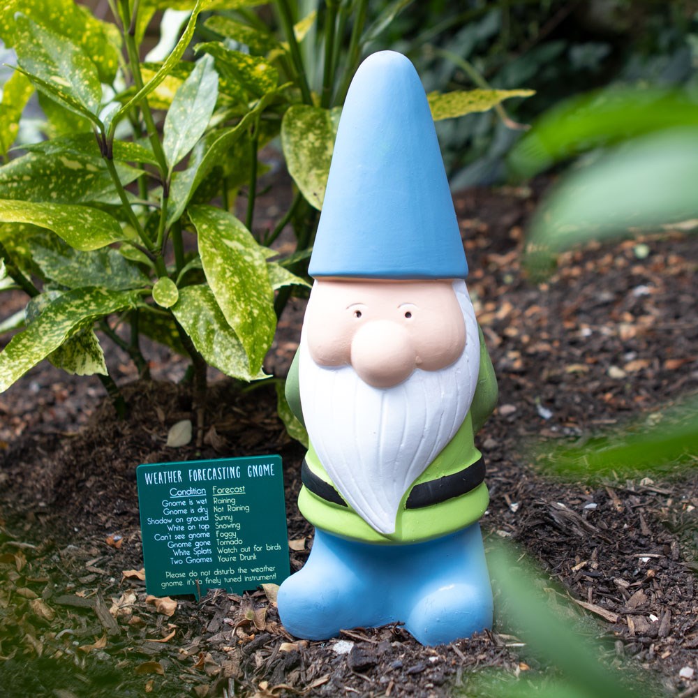 Gnome 2a