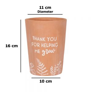 Terracotta thank you pot infographic
