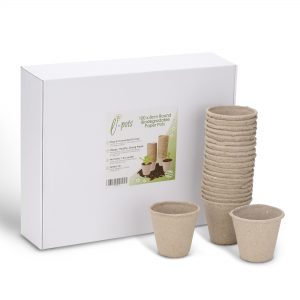 Biodegradable Plant Pots 100 x 8cm