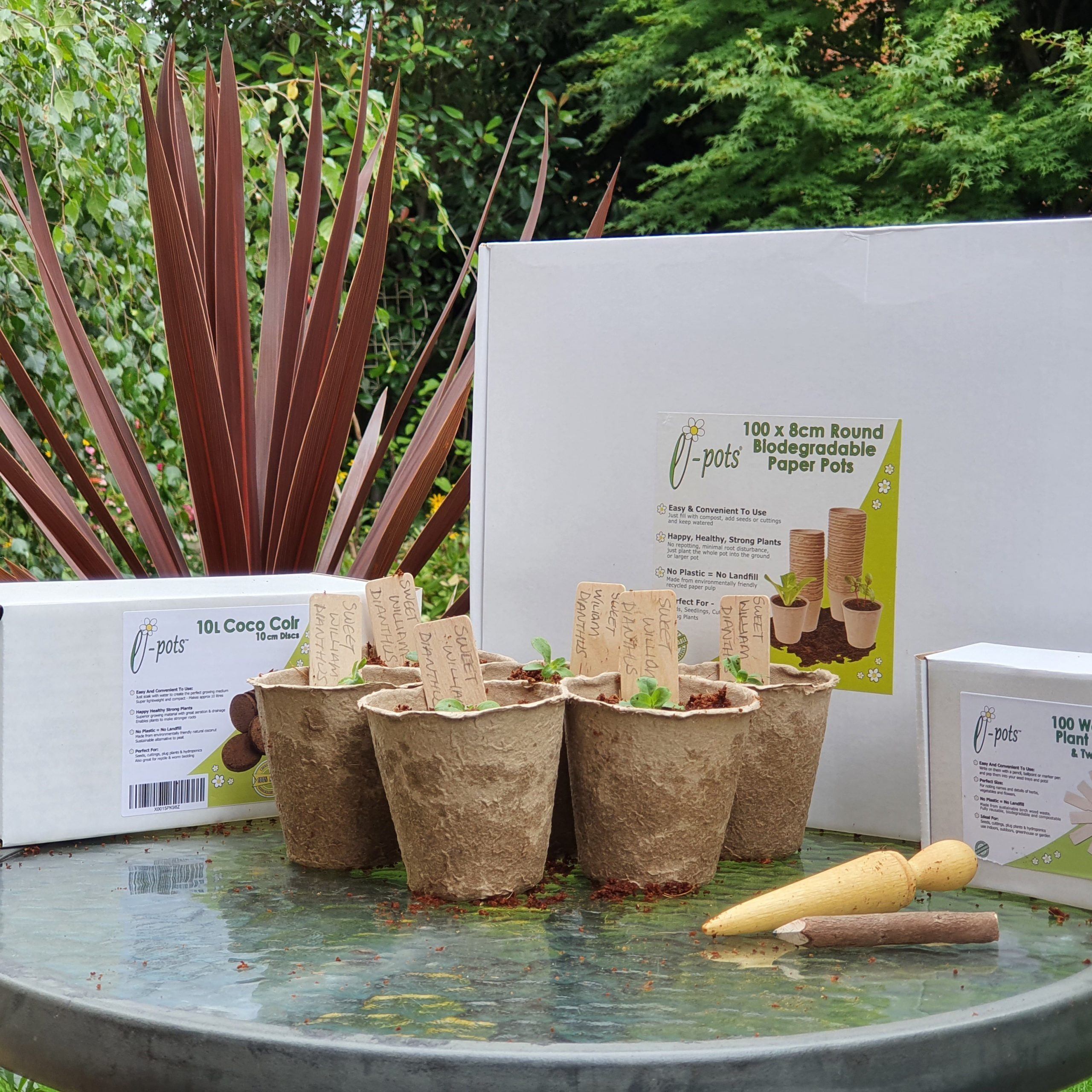 Biodegradable Plant Pots 100 x 8cm