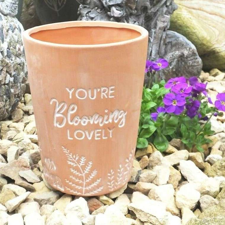 blooming lovely pot in garden