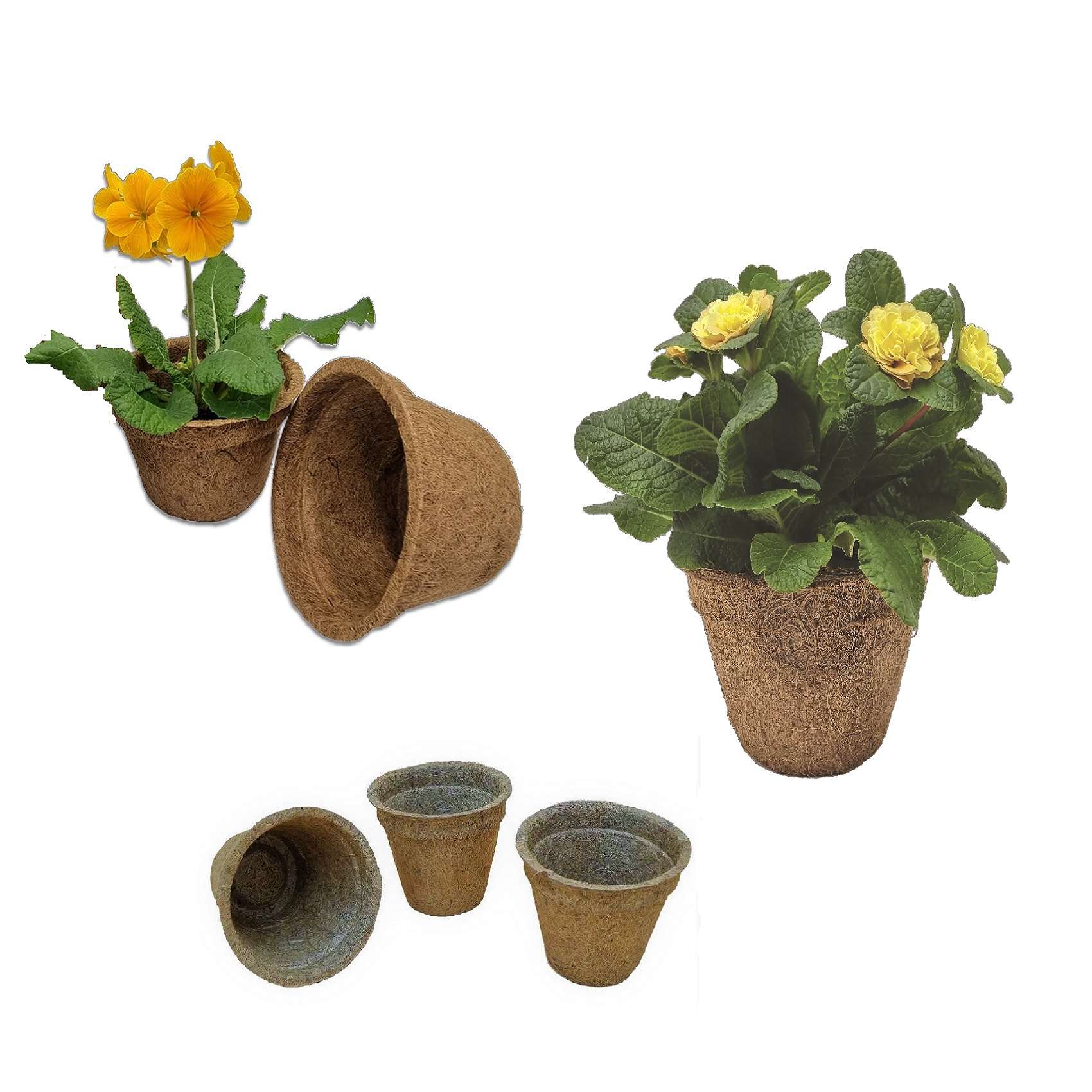 coir pots mixed size main image temp