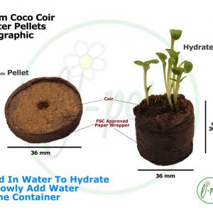 epots CP36 infographic