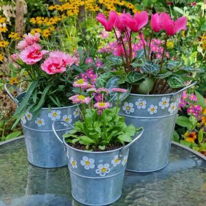 metal daisy planters on table