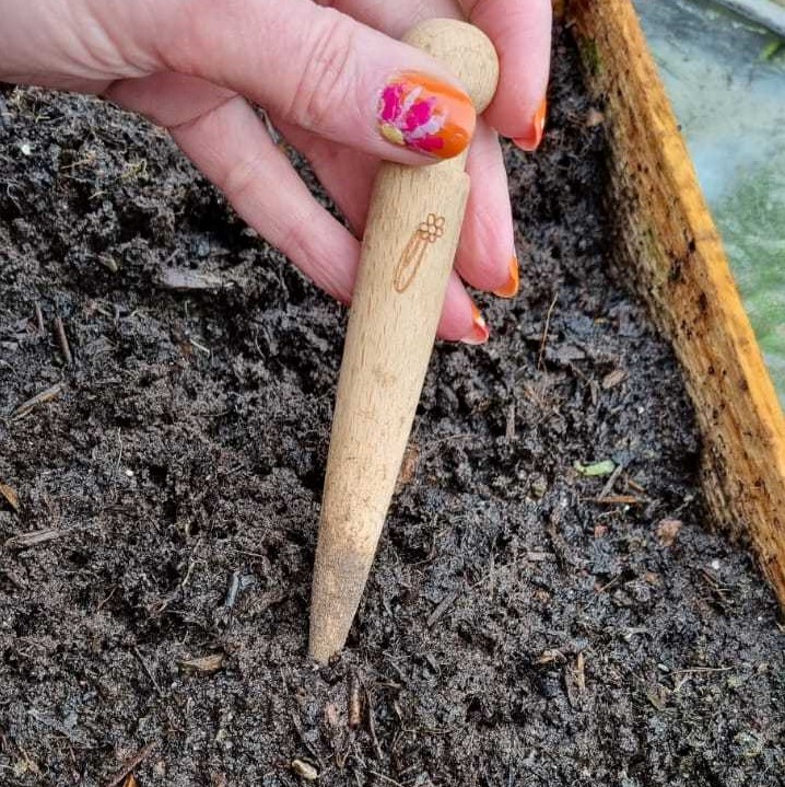 Using A Dibber Garden Dibbers - Traditional Wooden Tools in 2 Sizes - e-Pots