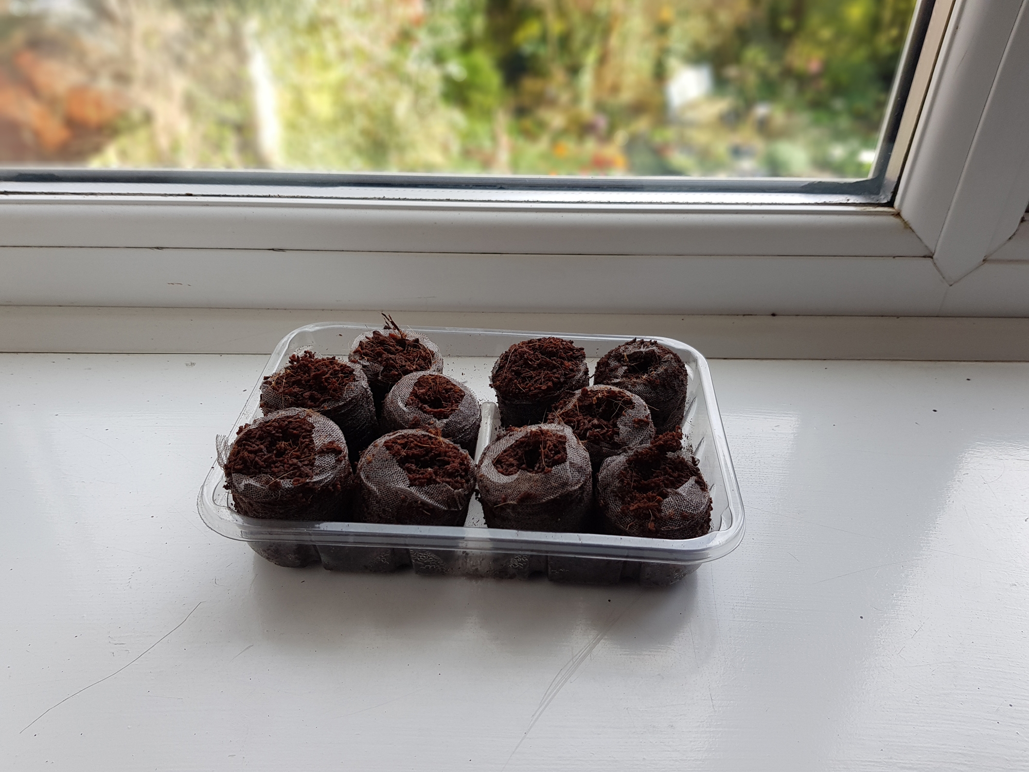 groweasy pellets-on-window-sill