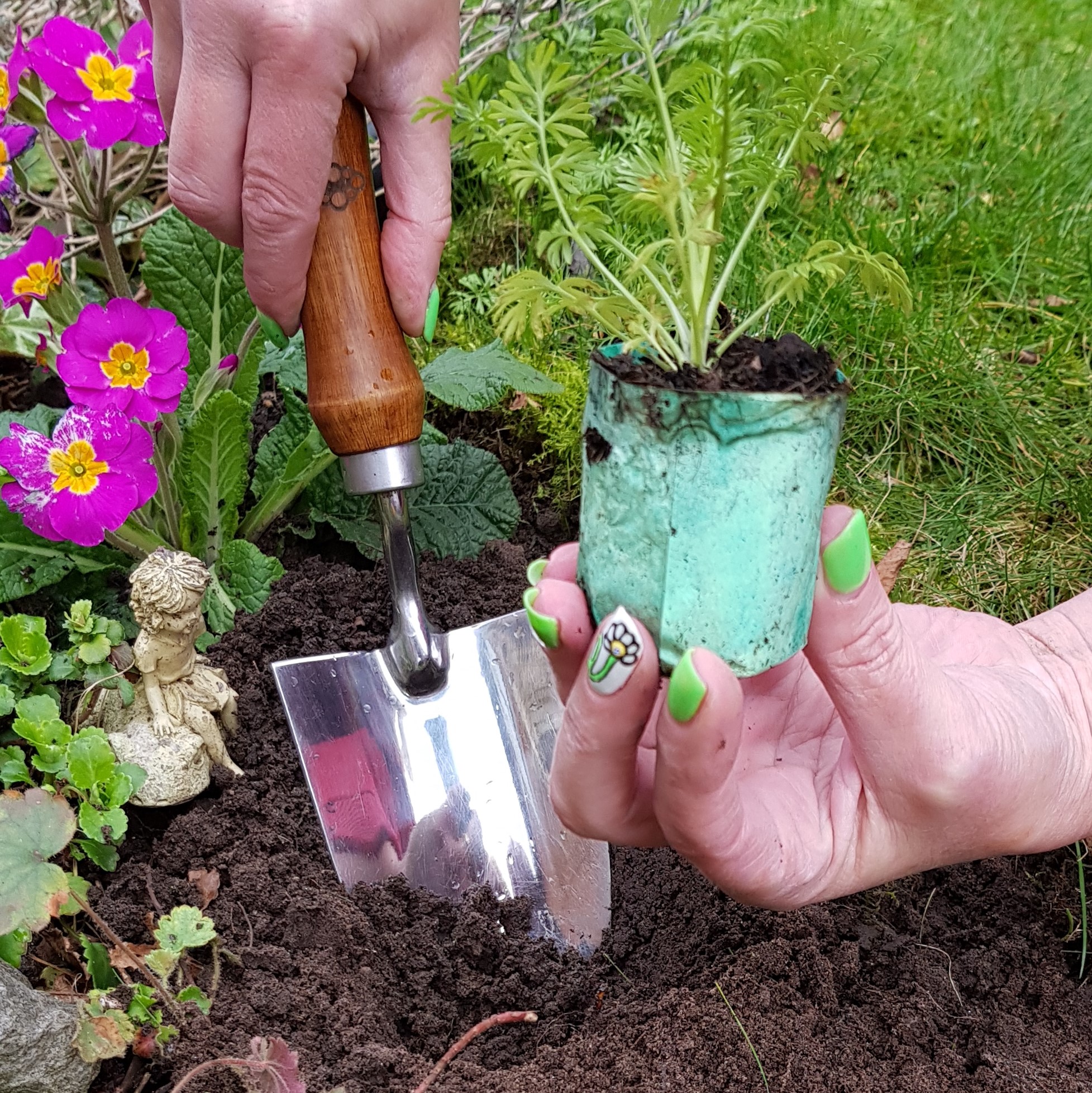 ppm planting in ground sq