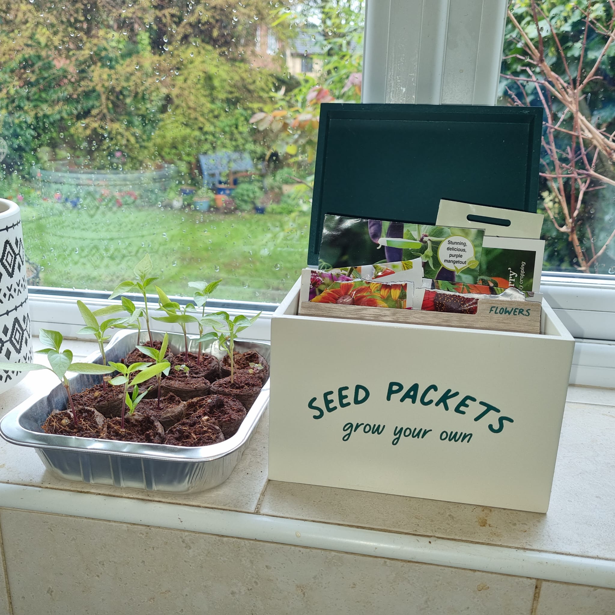 Seed Packet Storage Box & Dividers Cream ePots
