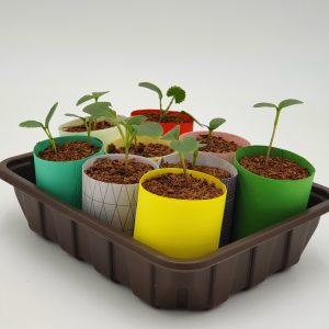 seed pots sq