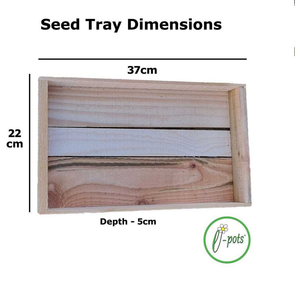 Wooden Seed Trays Set of 5 ePots